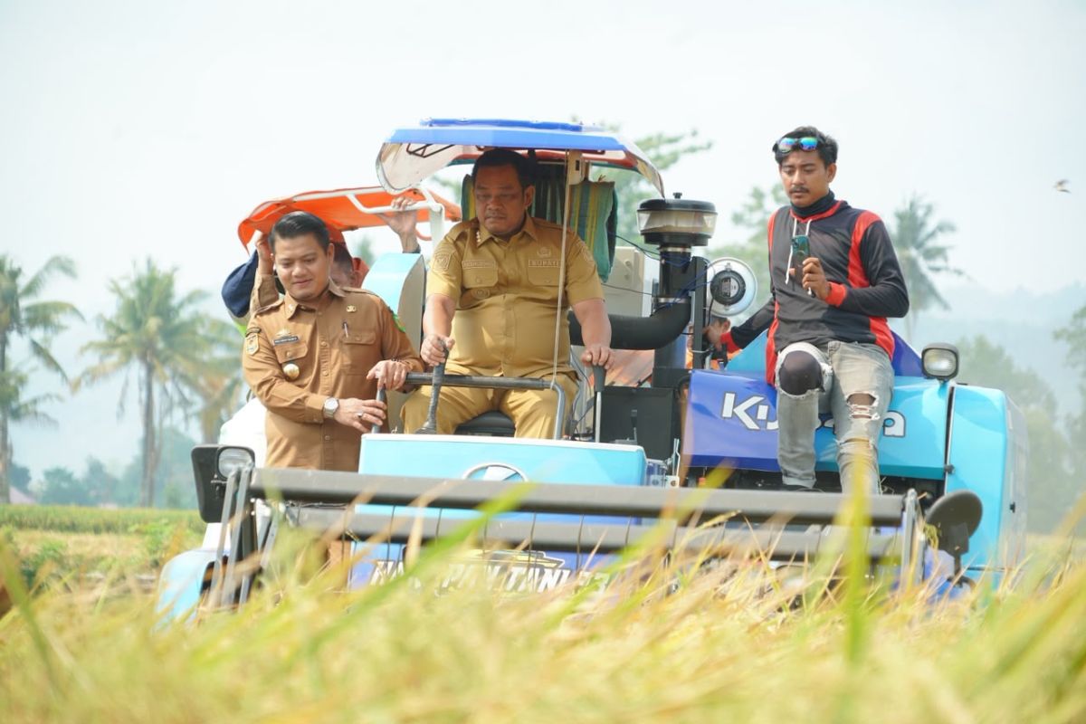 Pemkab Luwu, Vale, dan Dua Kampus Bahas Pemetaan Lahan Pertanian dan Peternakan