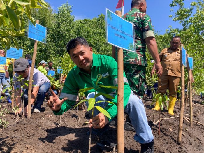 Peringati Hari Mangrove Sedunia, NHM dan Pemkab Halmahera Utara Tanam Mangrove di Kawasan Ekosistem Esensial Desa Kao