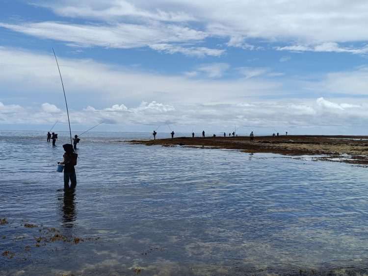 Lomba Vauf di Patani Utara Halmahera Tengah, Tradisi Memancing Perempuan Pesisir Dilestarikan demi Edukasi Ramah Lingkungan