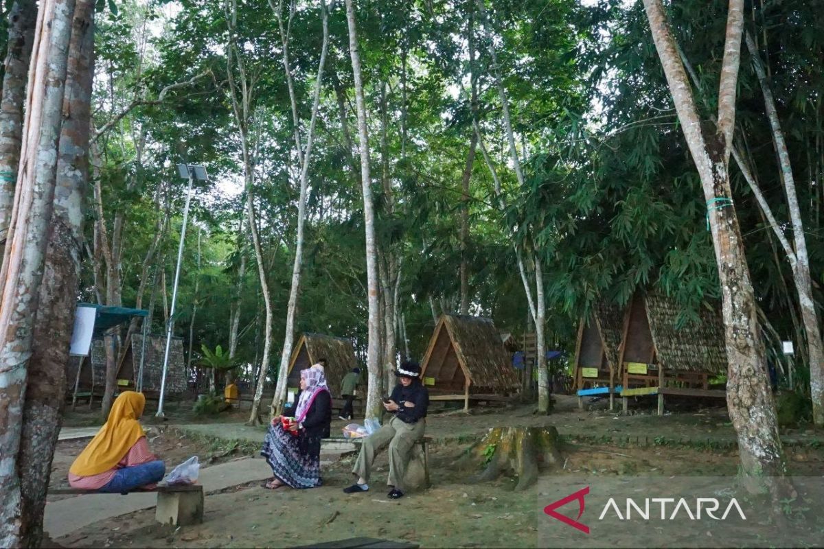 Kelompok Tani Hutan di 5 Kabupaten Kaltim Raup Rp8,1 Miliar dari Gaharu hingga Wisata Alam