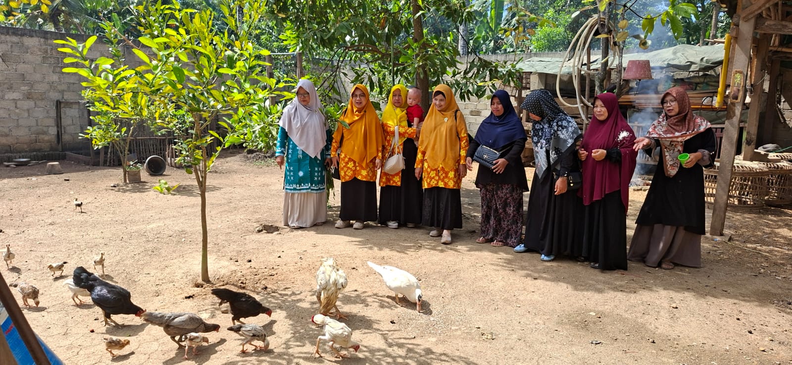 5 Fakta Program Ternak Ayam Aisyiyah dan Lazismu di Lampung, Dari Alat Penetas Telur Hingga Katering