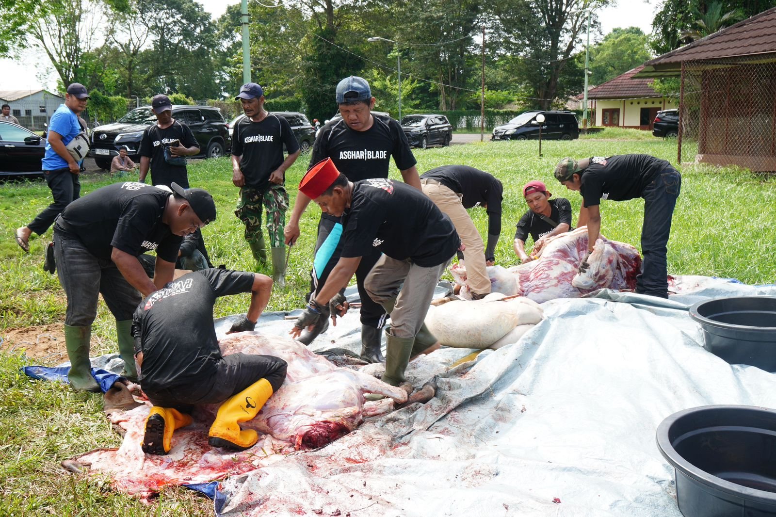 Pertamina Patra Niaga Regional Sumbagsel Kurban 56 Sapi dan 29 Kambing, Ribuan Kantong Daging Dibagikan ke 5 Provinsi