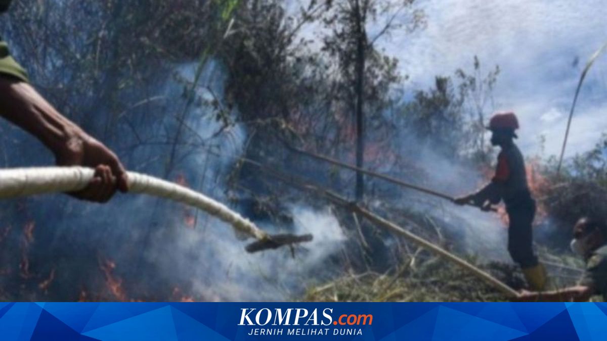 BMKG Deteksi 40 Titik Panas di Babel, Sebaran Terbanyak di Bangka Tengah dan Bangka Selatan