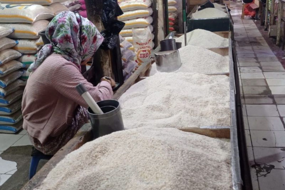 Produksi Beras Lebak Tembus 203.498 Ton Selama Januari-Mei 2026, Surplus untuk Pasok Jakarta dan Tangerang