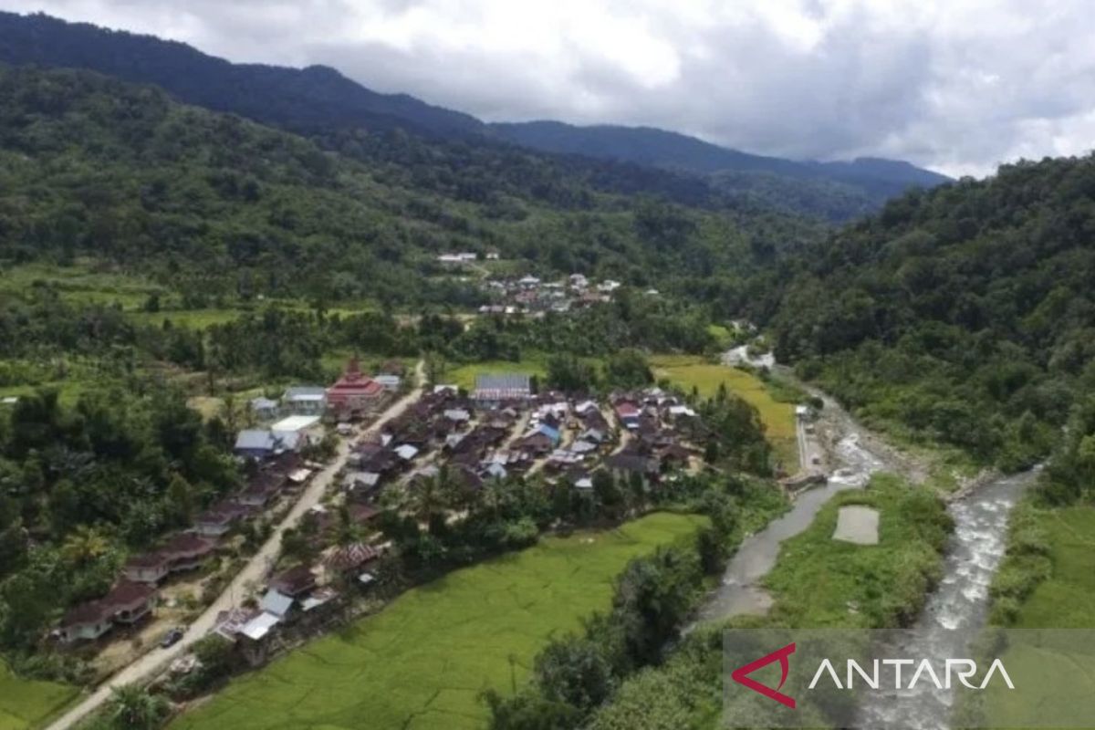 Perhutanan Sosial di Jambi Diusulkan Masuk PSN, 49 Ribu Kepala Keluarga Telah Kelola 230 Ribu Hektare Hutan