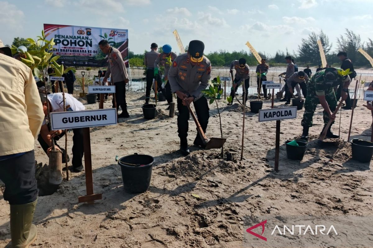 Polda Bangka Belitung Tanam 3.000 Pohon di Lahan Kritis Pantai Rebo, Akui Masih Punya Utang ke Alam