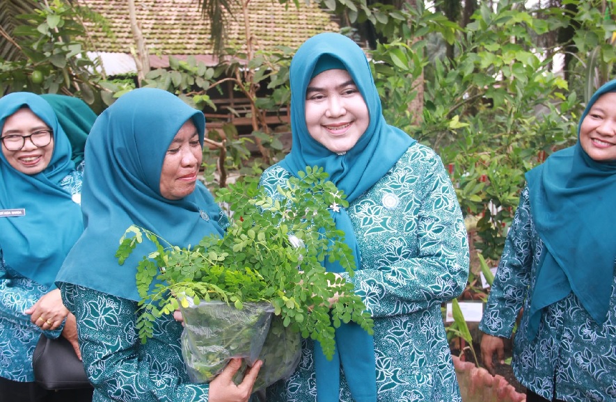 Ketua TP PKK Tanjung Jabung Barat Tinjau Kebun TOGA di Desa Purwodadi, Dorong Setiap Rumah Tangga Miliki Tanaman Obat Mandiri