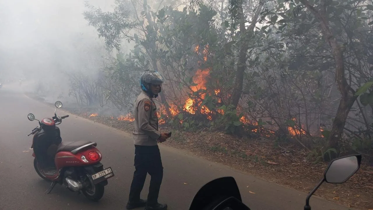 600 Meter Persegi Lahan Kosong di Kampung Bugis Tanjungpinang Terbakar, Warga Sempat Padamkan Secara Manual
