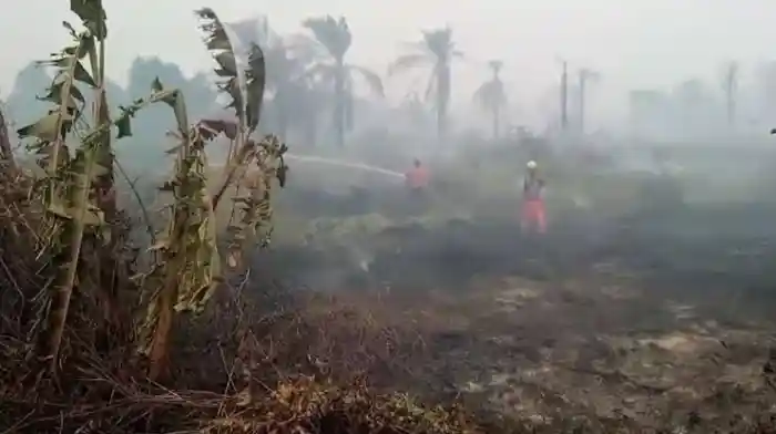 24 Titik Panas Kepung Rokan Hilir, Warga Diimbau Siaga Karhutla di Tengah Musim Kering