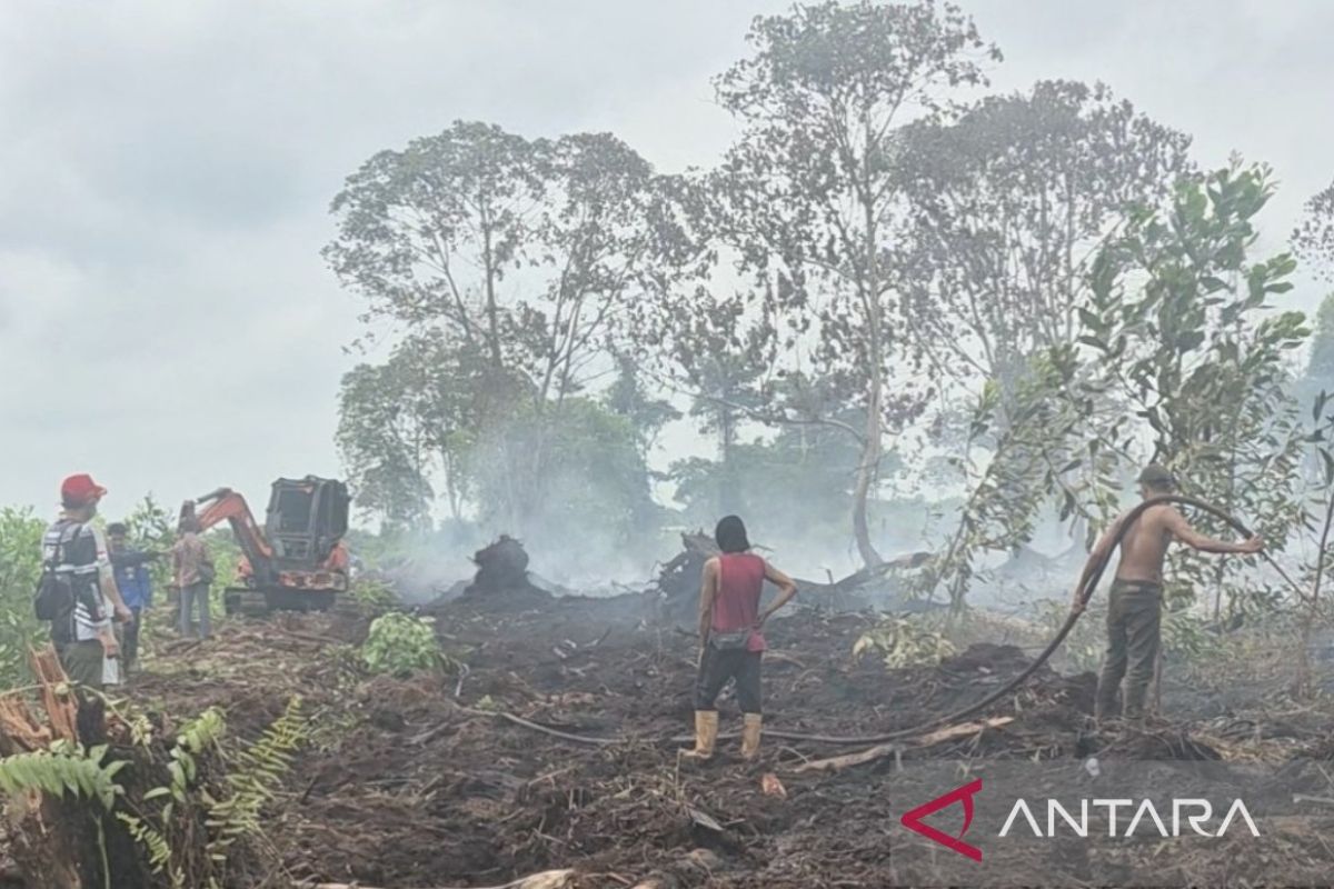Satgas Karhutla Jambi Terapkan Pola Penyekatan di Tanjab Timur, Cegah Api di Lahan Gambut Meluas