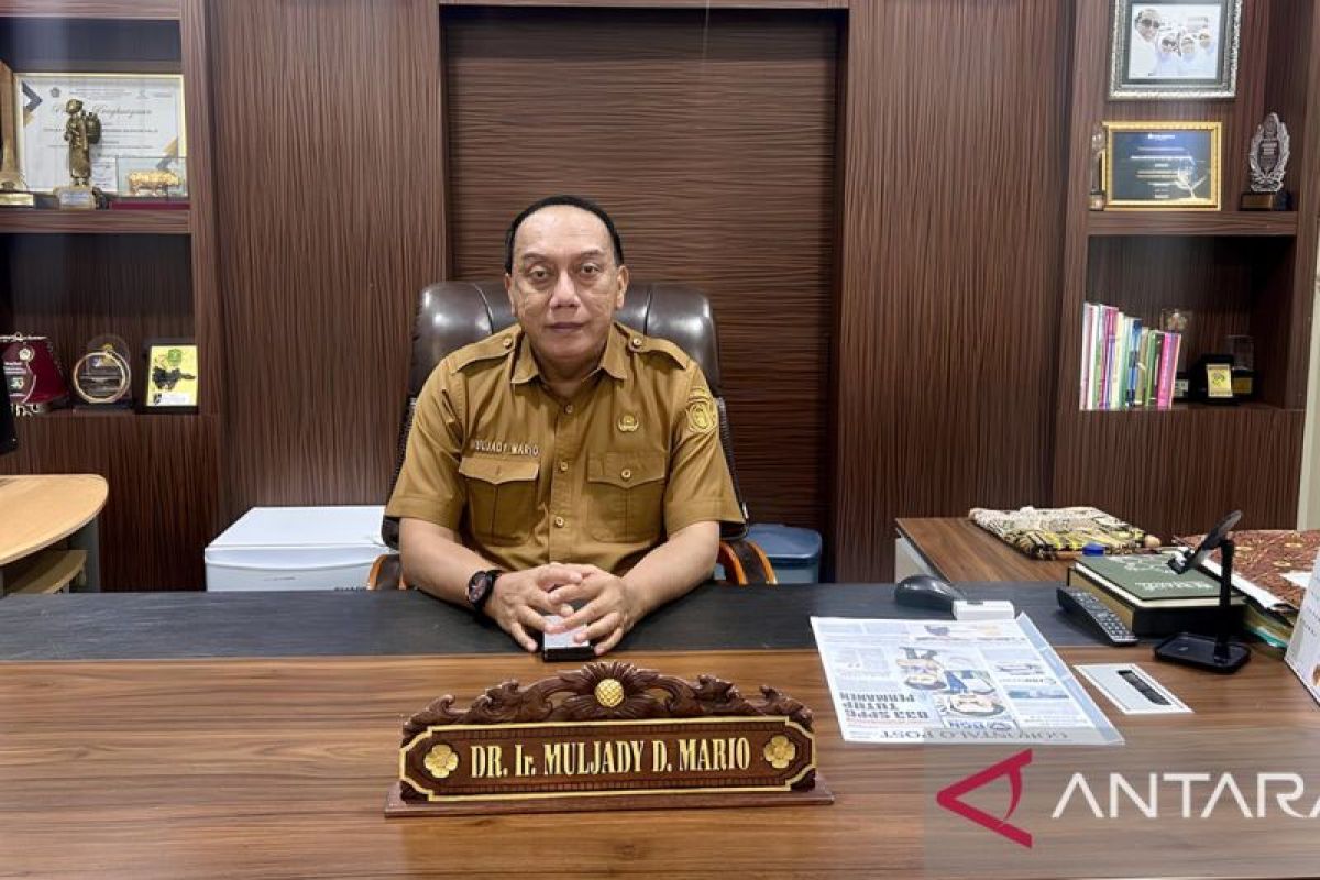 Pemprov Gorontalo Bidik Beras Premium Lewat Investasi Penggilingan Padi Modern, Target Kurangi Ketergantungan Pasokan Luar Daerah