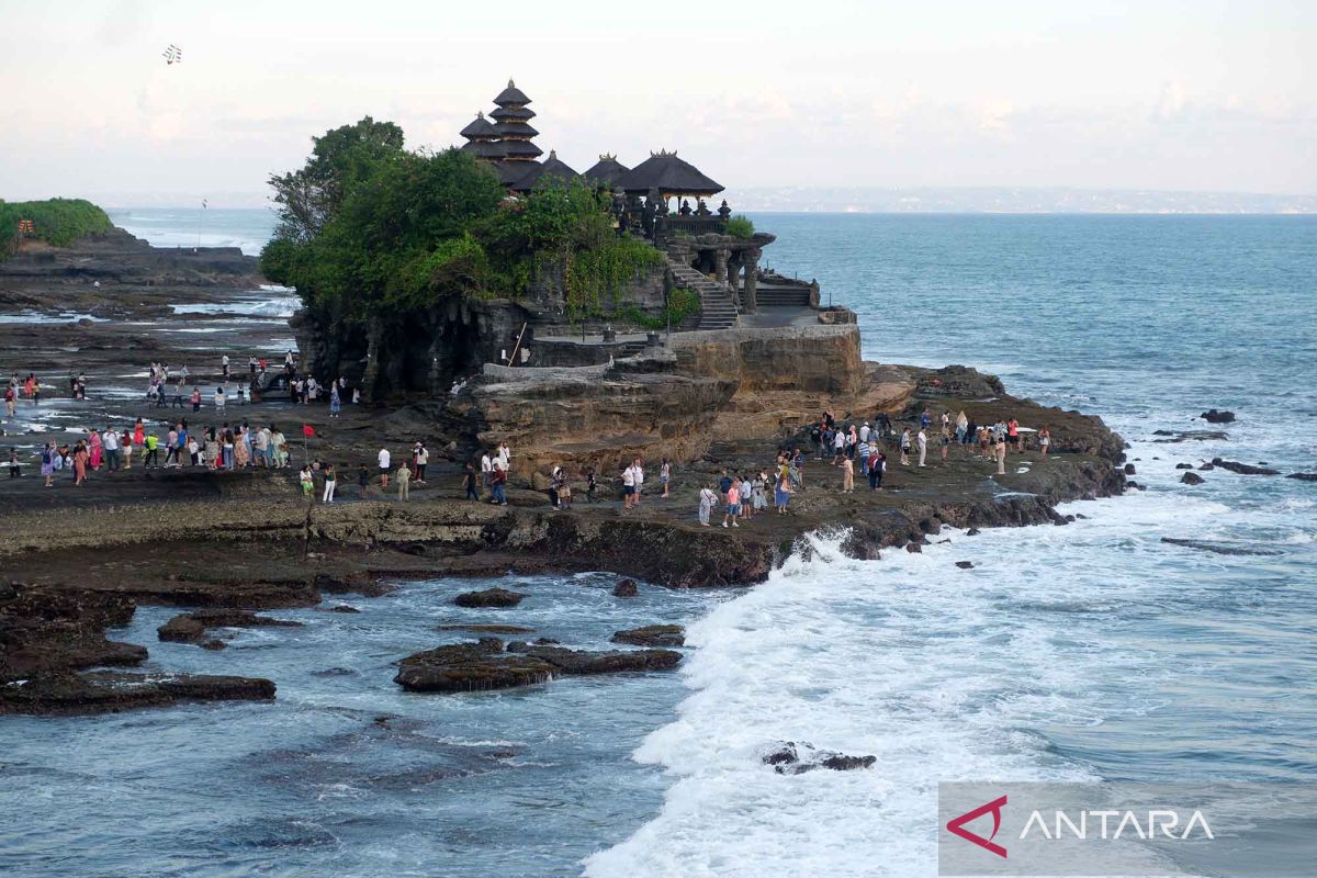 Dispar Bali Pastikan Belum Ada Kasus Virus Zika di Pulau Dewata, Wisatawan Tak Perlu Khawatir Berlebihan