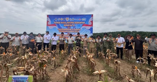 DPRD Muaro Jambi Dukung Penuh Polri dan Pemerintah Dorong Ketahanan Pangan Lewat Panen Raya Jagung Serentak
