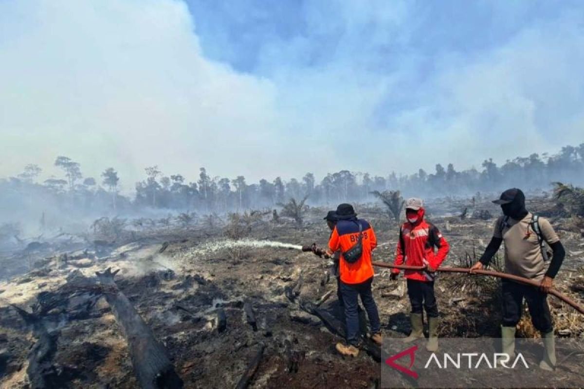 Kebakaran Lahan Gambut di Nagan Raya Meluas ke 17 Hektare, Api Sulit Dipadamkan Akibat Cuaca Ekstrem dan Minim Air
