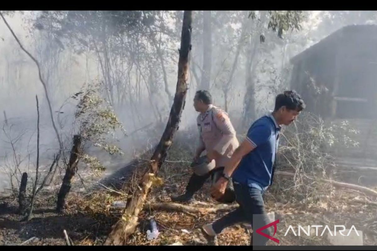 Tim Gabungan Padamkan Karhutla 0,75 Hektare di Bangka Tengah, Api Sempat Dekati Rumah Kosong Perusahaan