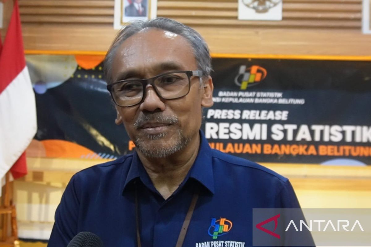 Ekspor Bangka Belitung Anjlok 25,24 Persen pada Mei 2026, Timah Masih Jadi Andalan ke Tiongkok