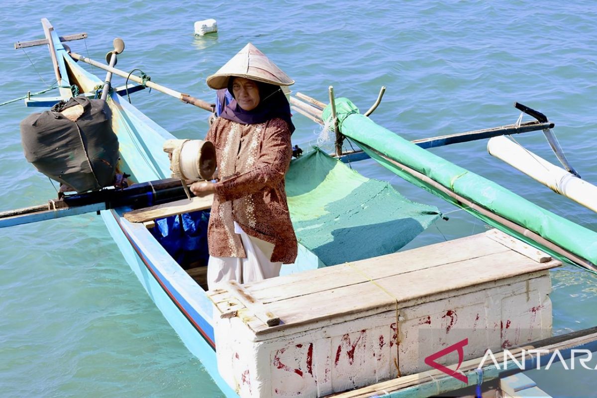 Tak Lagi Melaut Sampai 10 Kilogram Sehari, Nelayan Perempuan Bajo di Gorontalo Kini Hanya Bawa 4 Kilogram