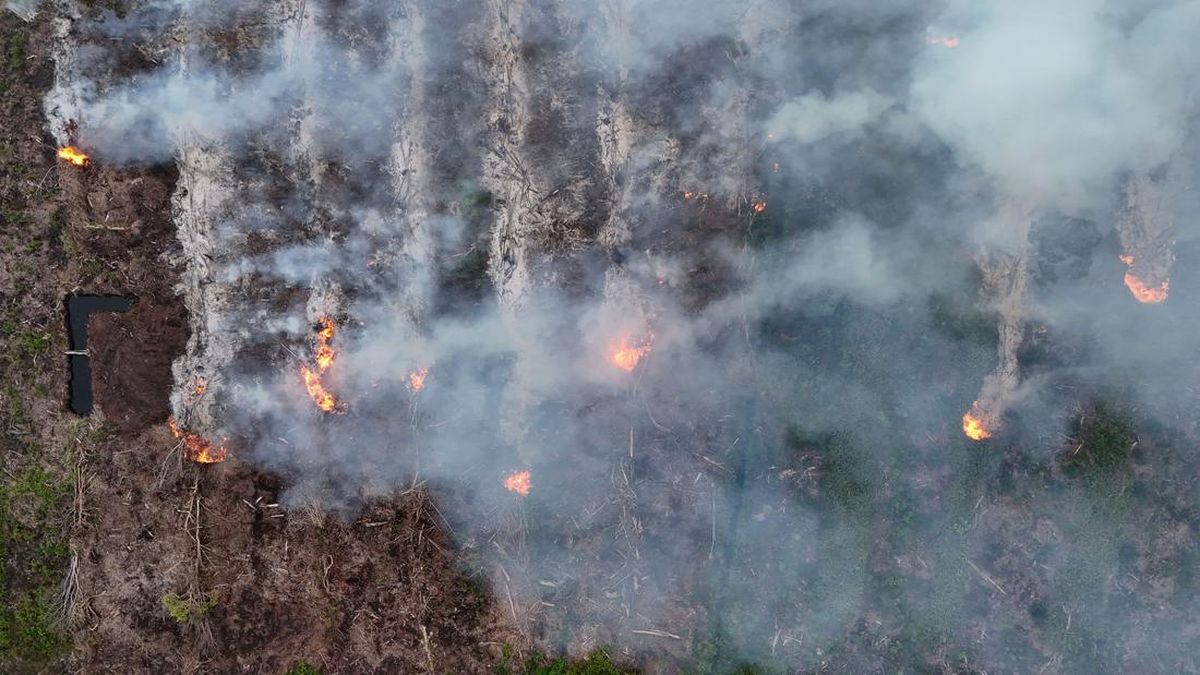 306 Kebakaran Hutan dan Lahan Terjadi di Sumsel hingga Juli 2026, Kabupaten PALI Jadi Zona Merah Tertinggi