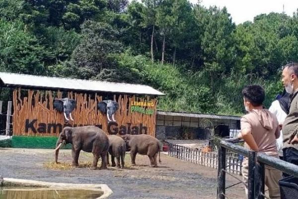 5 Tempat Wisata Ramah Anak di Bandung untuk Libur Sekolah, dari Naik Kuda hingga Beri Makan Rusa