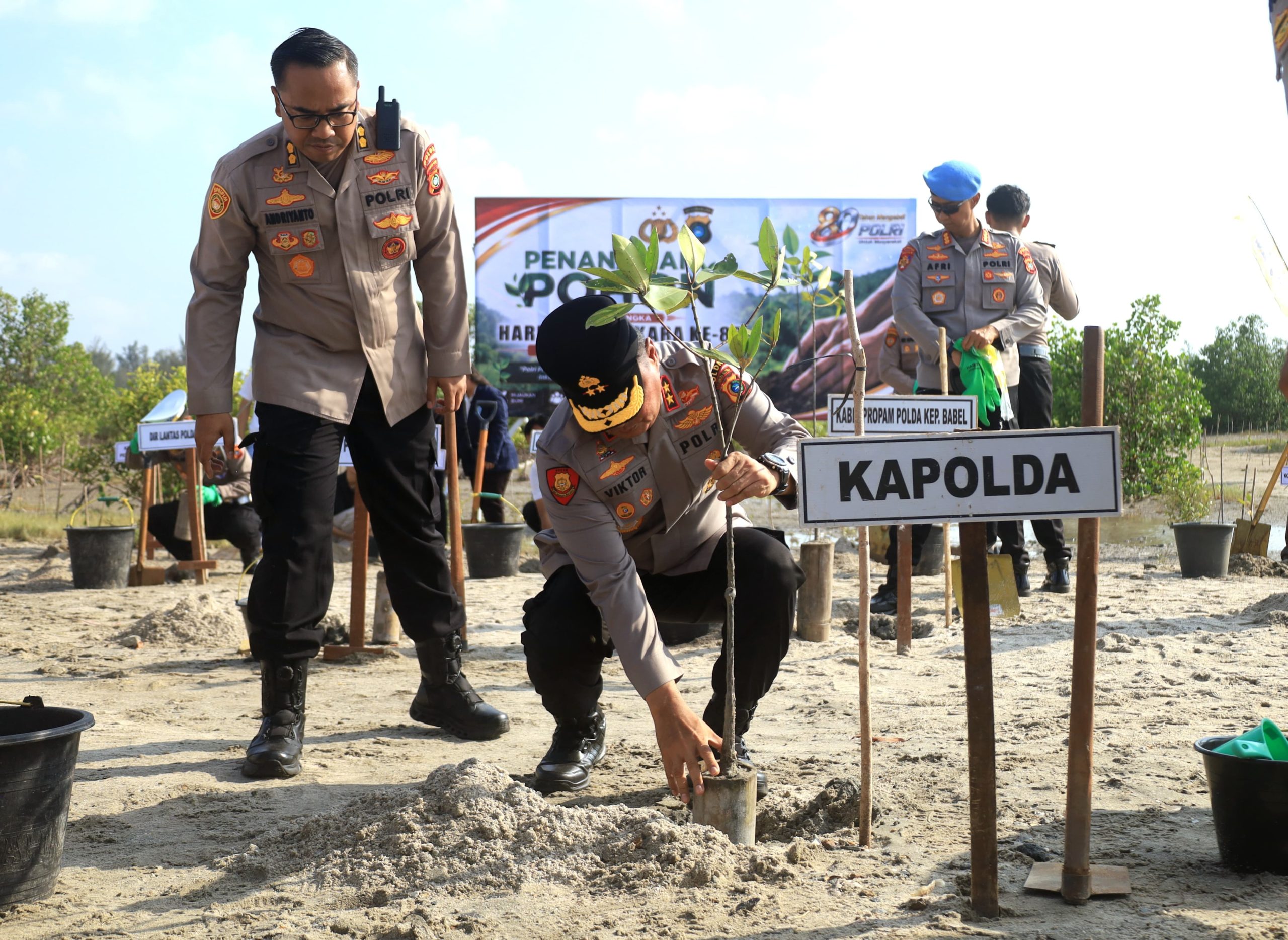 Kapolda Babel Pimpin Penanaman 3.000 Bibit Mangrove di Lahan Eks Tambang Pantai Rebo, Tegaskan Utang Lingkungan Belum Lunas