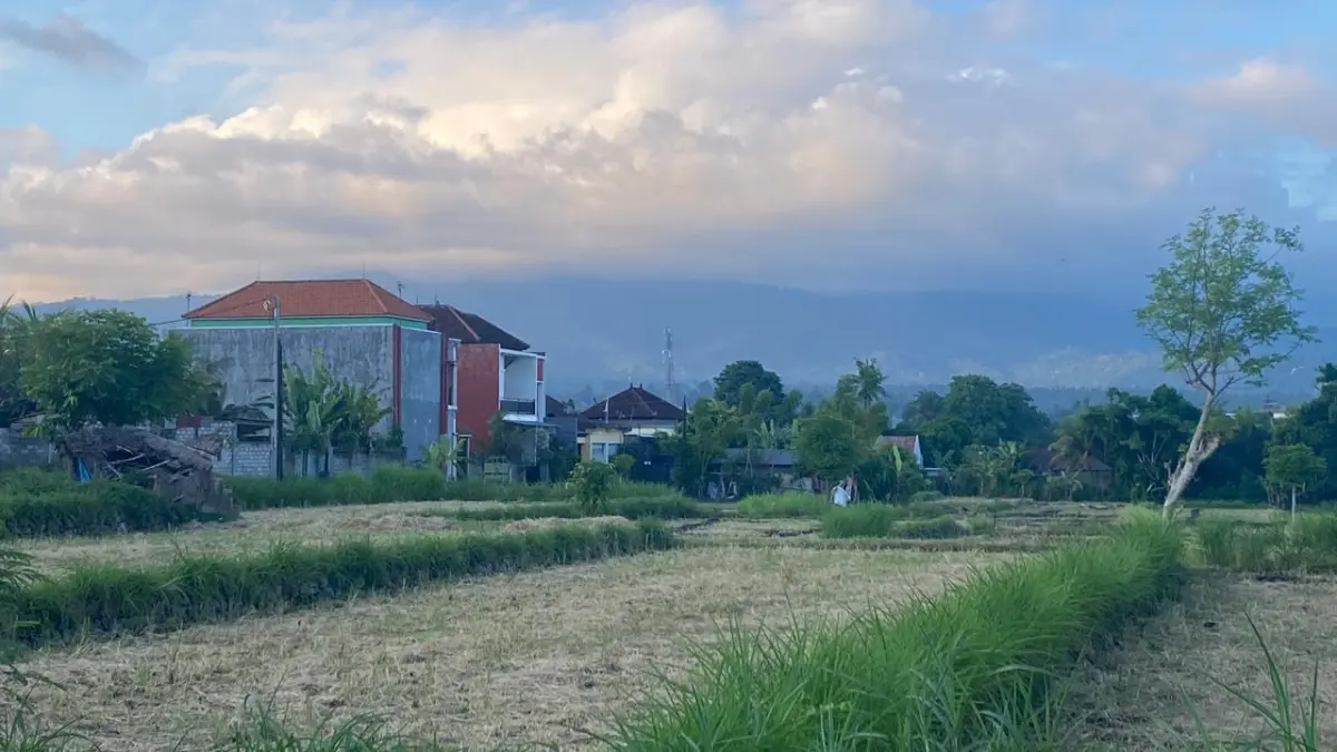 440 Hektare Sawah di Karangasem Lenyap dalam Lima Tahun, Berubah Jadi Perumahan dan Bangunan