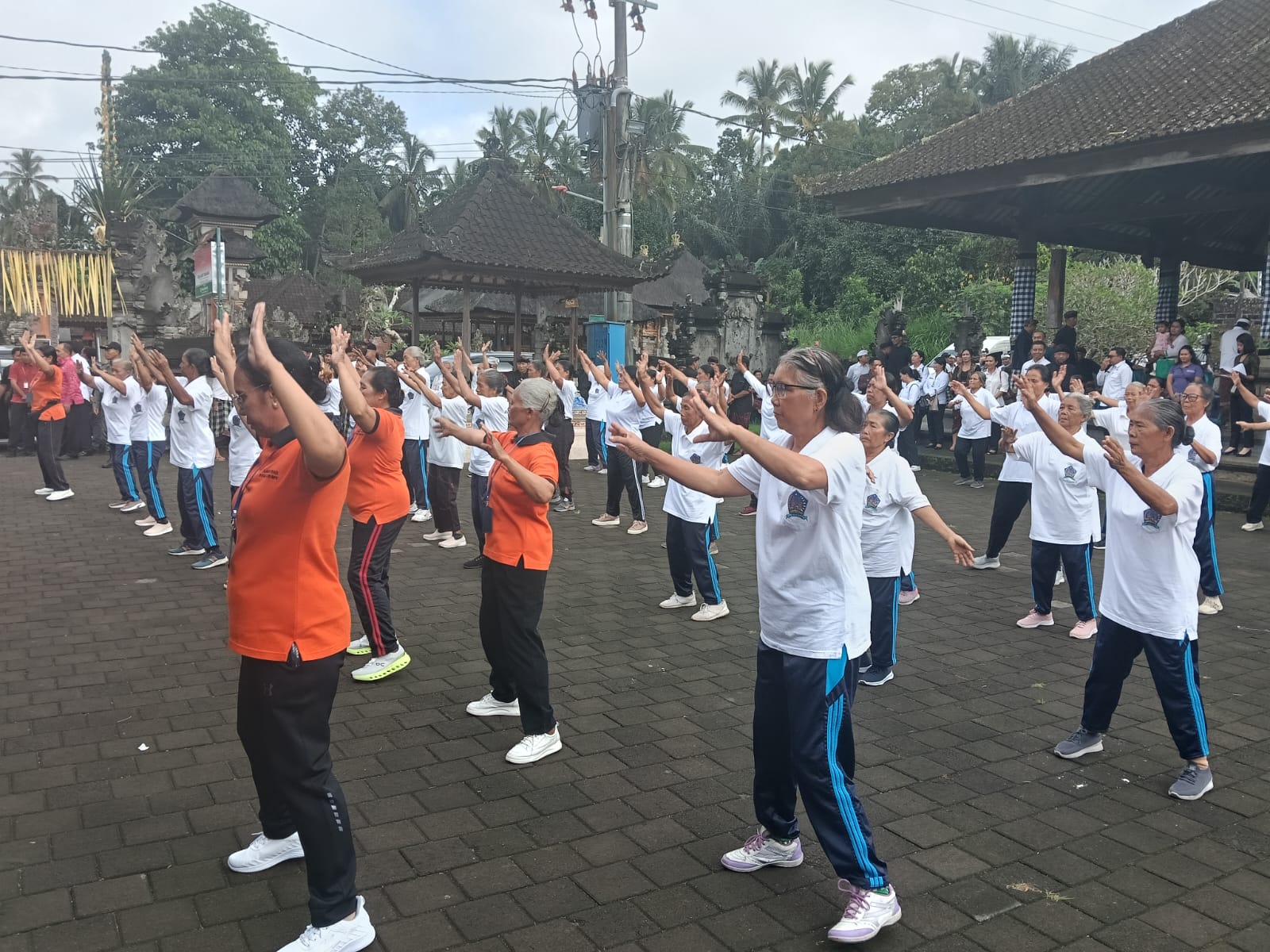 Angka Harapan Hidup di Gianyar Meningkat, TP PKK Gencarkan Pemberdayaan Lansia Sehat dan Mandiri di Tegallalang