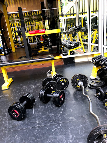 10 Pilihan Gym Fitness di Denpasar 2026: Dari yang Buka 24 Jam hingga Rating Tertinggi