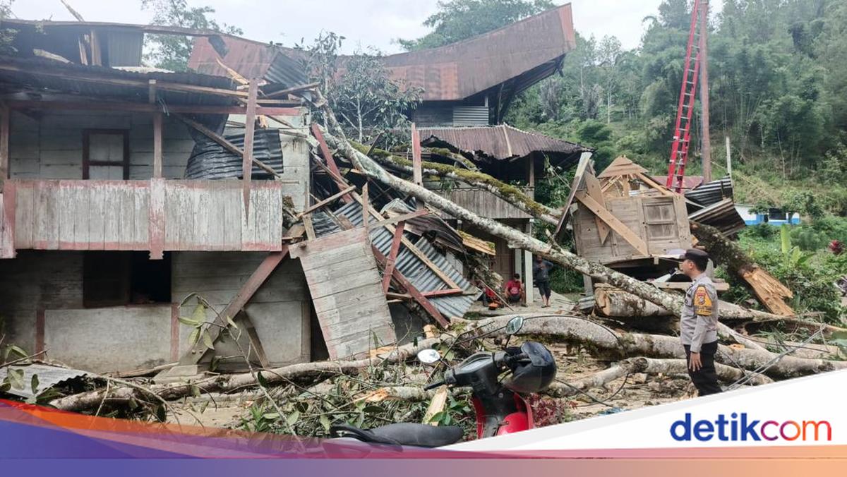 Pohon Tua Tumbang Timpa 2 Rumah di Mamasa, 9 Warga Mengungsi dan Listrik Satu Kecamatan Padam