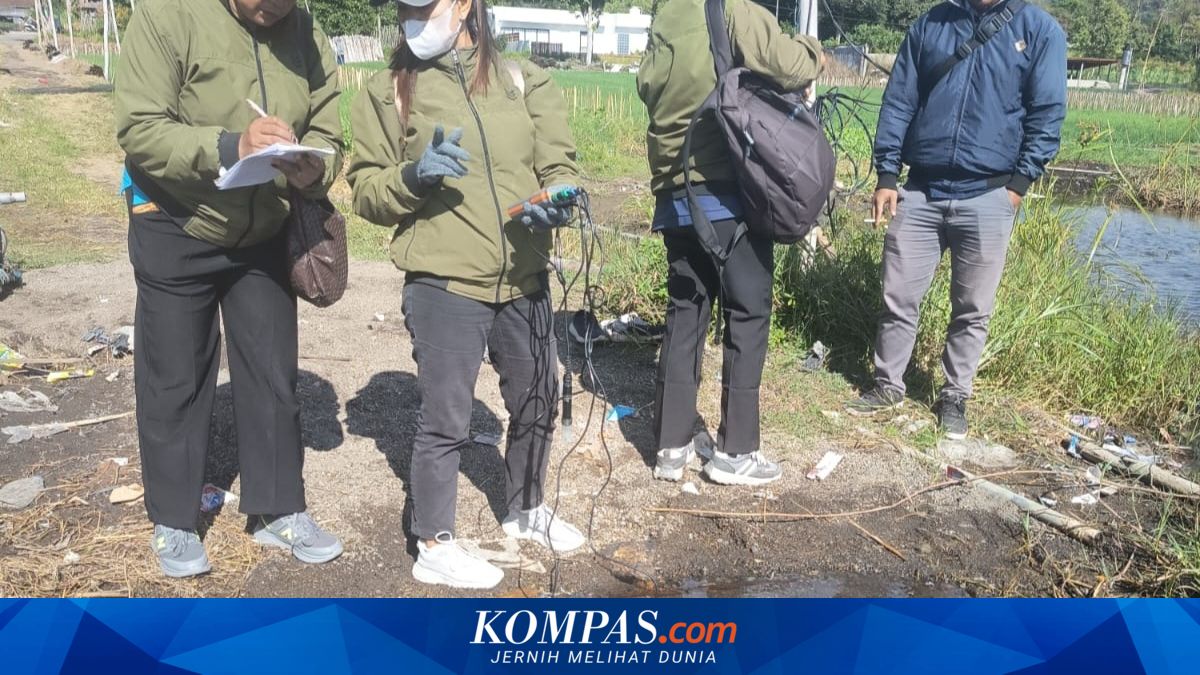 Letupan Belerang Danau Batur Bangli Tewaskan 25 Ton Ikan Nila, Kerugian Peternak Capai Rp 800 Juta