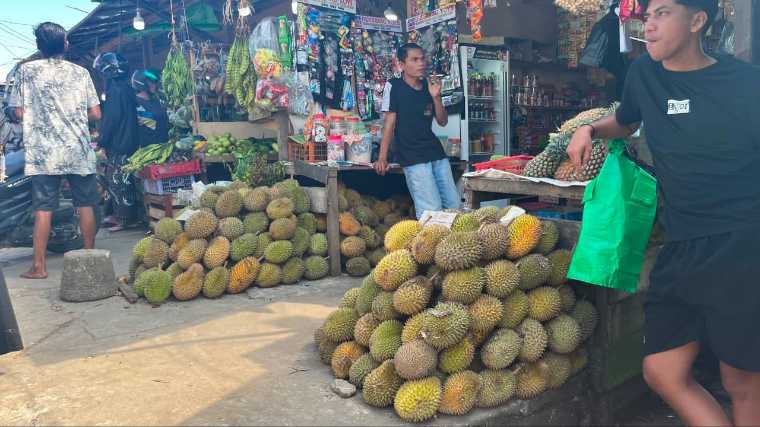 Musim Durian Tiba, Pedagang Musiman di Sekadau Raup Omzet hingga Rp1 Juta dalam Dua Hari