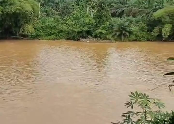 32 Ekskavator Diduga Bekerja di Hutan Lindung Limapuluh Kota, Walhi Desak Verifikasi Spasial BPKH