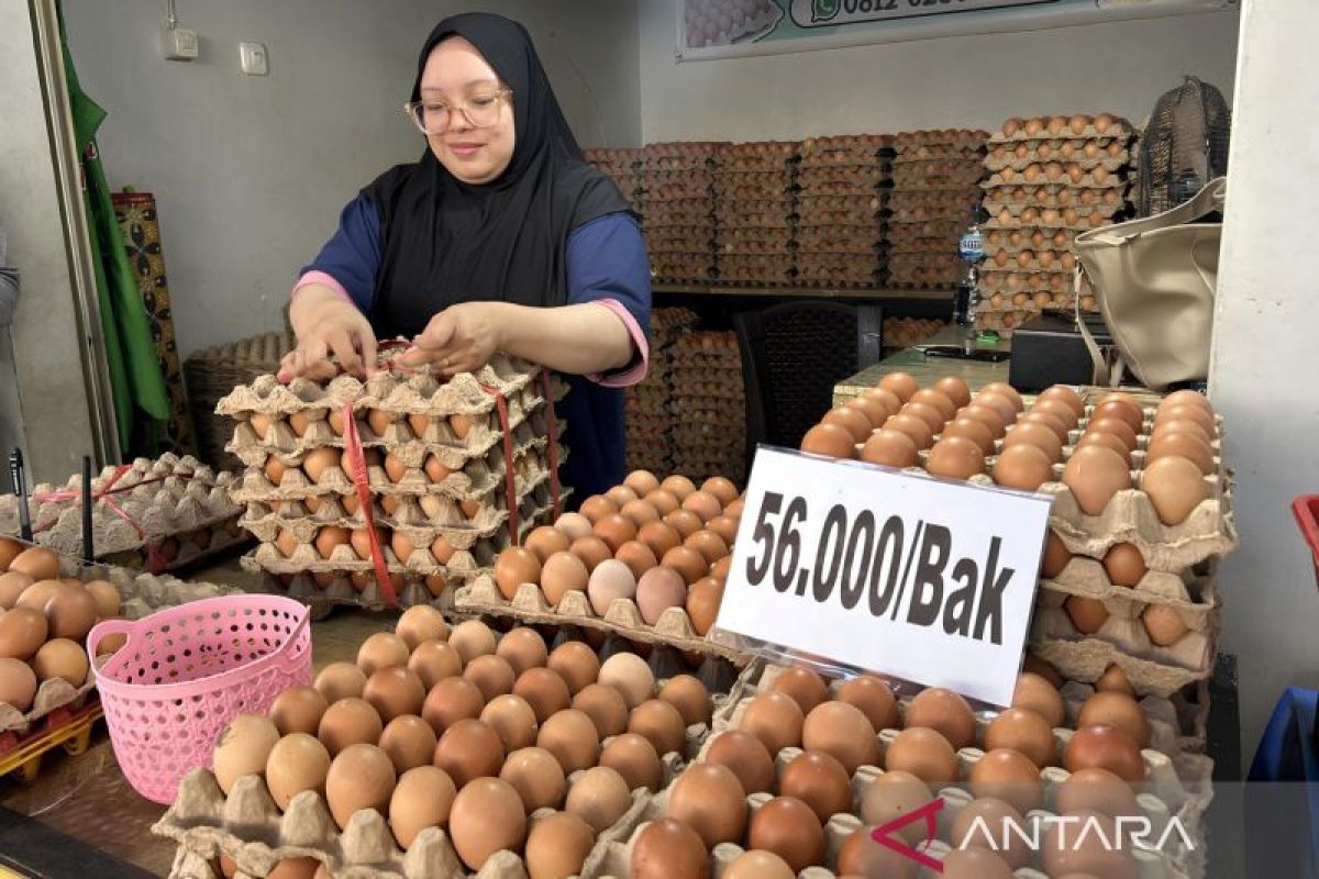 Harga Telur Campur di Gorontalo Naik ke Rp 56 Ribu per Bak, Permintaan Tembus 400 Bak saat Maulid