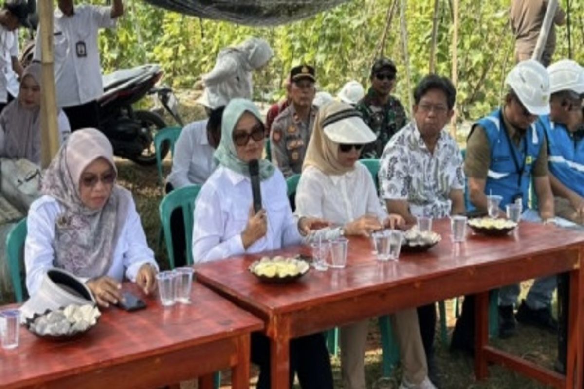 Bupati Lampung Timur Tinjau Langsung Listrik Masuk Sawah di Batanghari, Subsidi Pemasangan KWH Disiapkan untuk Petani