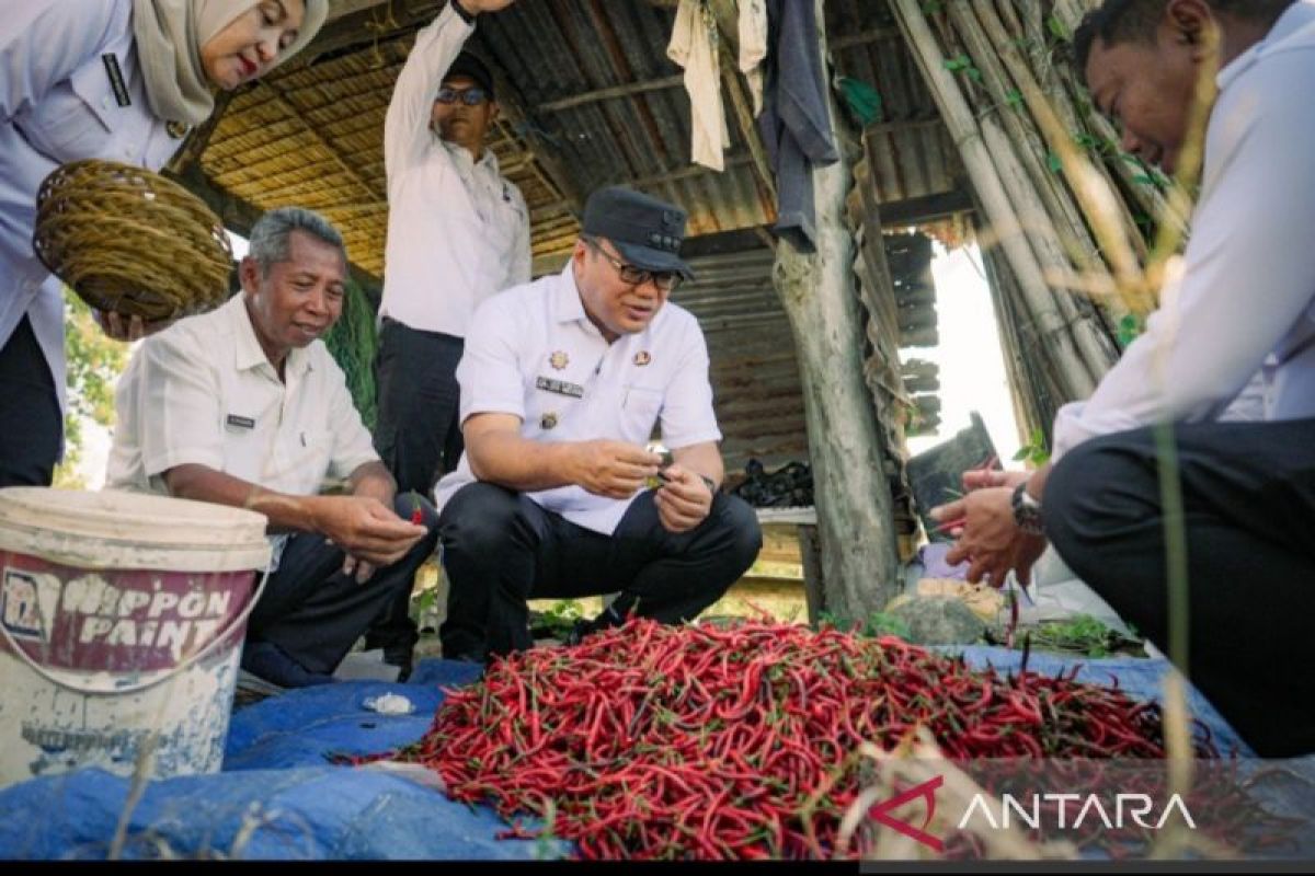 Bupati Deli Serdang Perkuat Dukungan Petani: Awasi HET Pupuk, Tambah PPL Swadaya, dan Pastikan Pengairan di Hamparan Perak