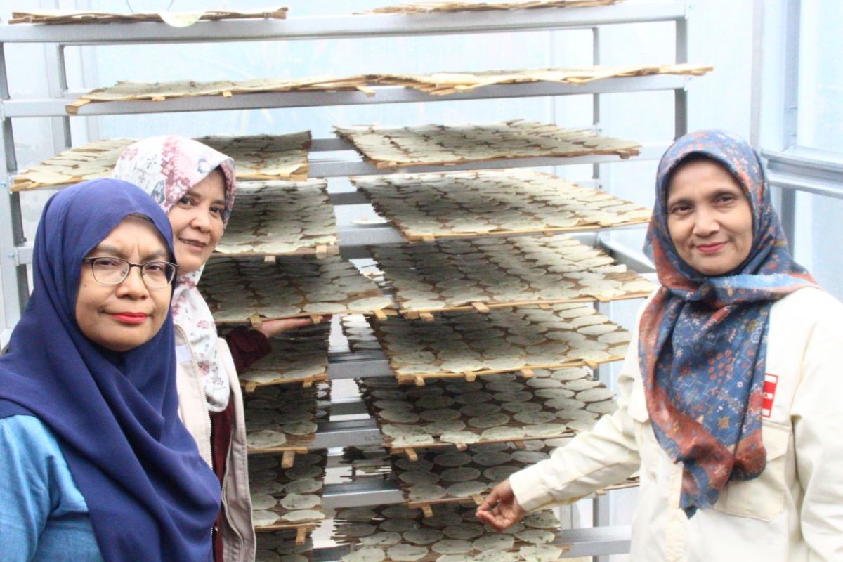 Universitas Andalas Bantu UMKM Kerupuk Ubi Kamang di Agam dengan Dome Pengeringan, Target Tembus Pasar Internasional
