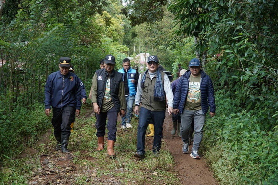 Lewati Jalur Berlumpur dan Hujan, Utusan Gubernur Jambi Tembus Perkebunan Kopi di Ketinggian 1.200 Mdpl Kerinci