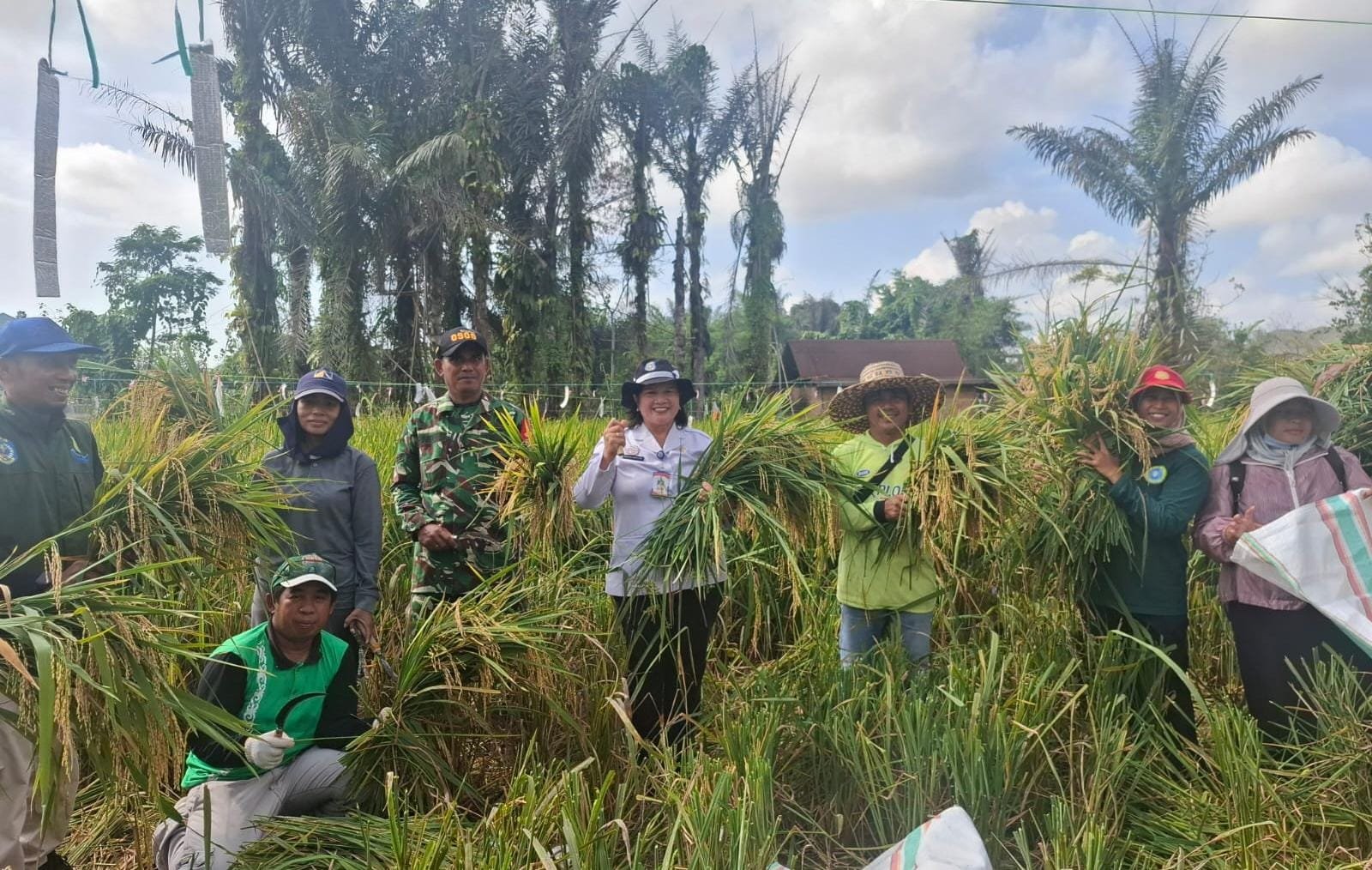 Bukan Sekadar Panen, DKP3 Bontang Petik Langsung Aspirasi Petani di Kanaan untuk Perbaiki Program Pembinaan