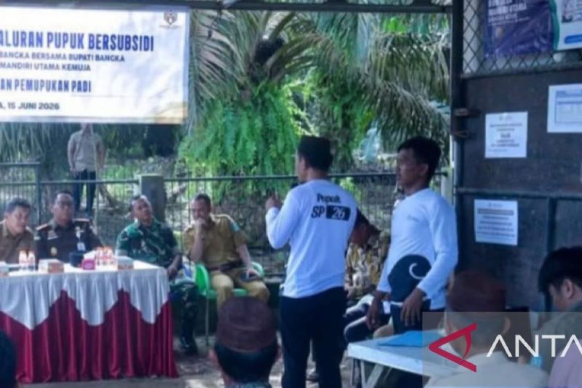 Pemkab Bangka Alokasikan 1.200 Ton Pupuk Subsidi untuk 5.702 Petani Sawah, Targetkan Swasembada Beras