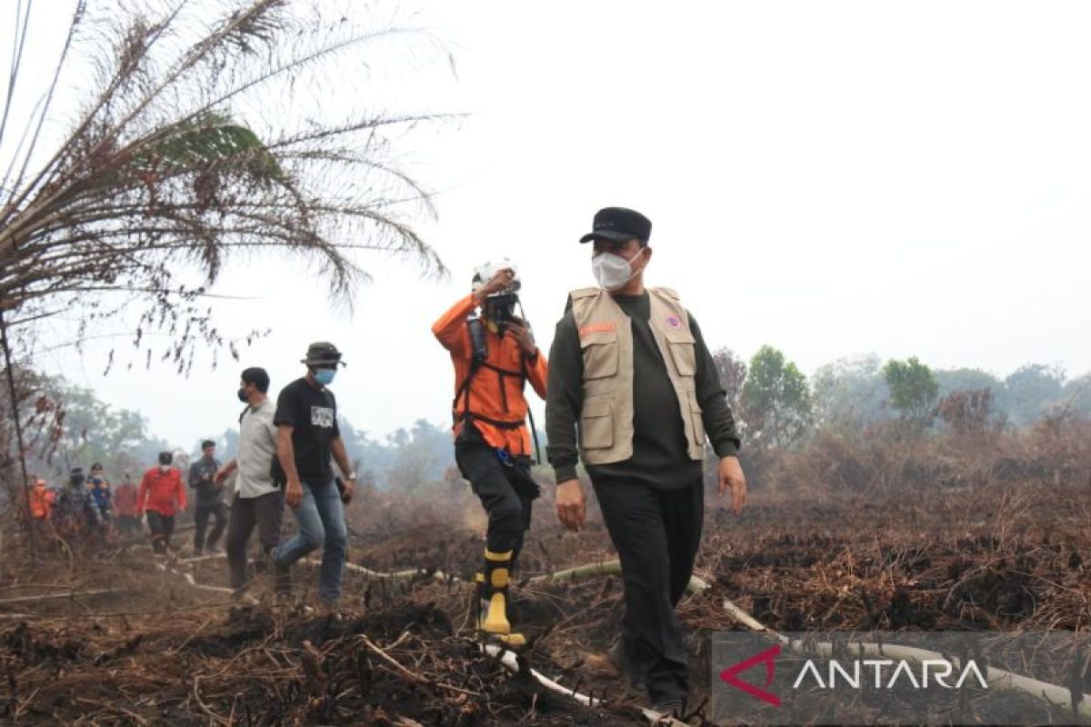 Luas Karhutla Kalbar Susut Drastis dari 38.310 Hektare jadi 200 Hektare, Titik Api Tersisa 156