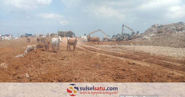 Pemkot Makassar Resmi Benahi TPA Antang dengan Sistem Cover Soil, Targetkan Transformasi dari Open Dumping ke Sanitary Landfill