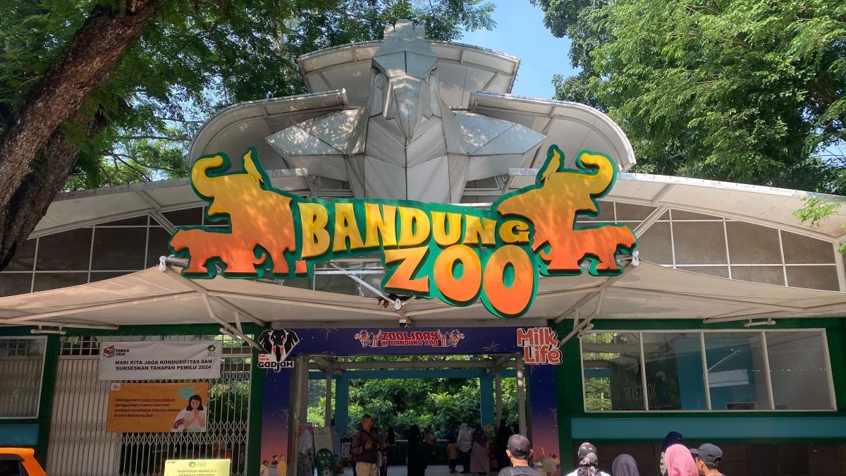 BUMD Jabar Siap Ambil Alih Bandung Zoo Demi Selamatkan Konservasi