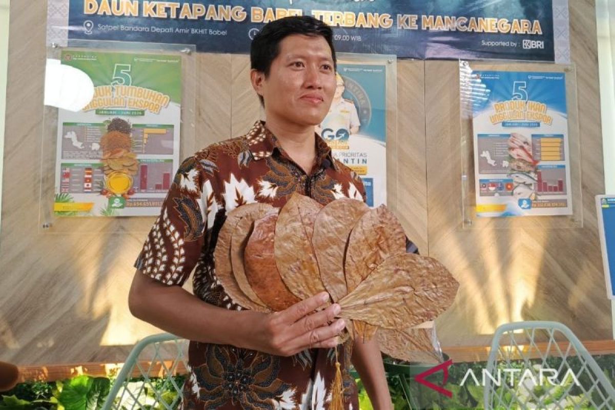Pemprov Babel Fasilitasi Pendaftaran HAKI untuk Seluruh Merek Produk Ekspor UMKM, Cegah Pelanggaran Aturan