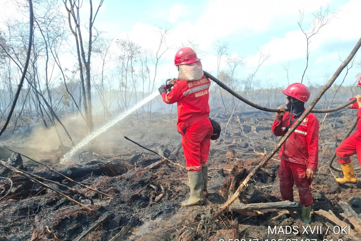 Kebakaran Hutan di OKI Masuk Hari Ketiga, Manggala Agni Kerahkan 73 Kali Water Bombing untuk Padamkan 6 Hektare Gambut
