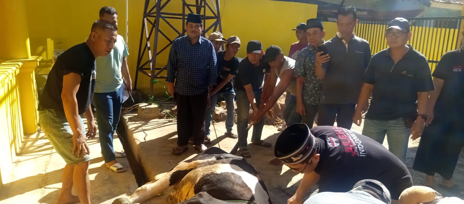 Ketua Juleha Lampung Selatan yang Juga Anggota DPRD Sembelih Enam Ekor Hewan Kurban saat Iduladha 2026