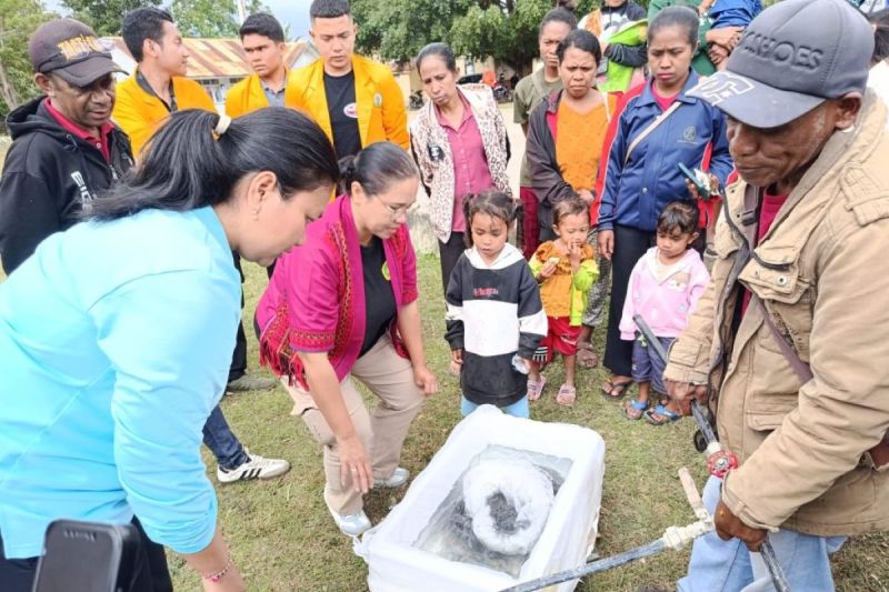 Dosen dan Mahasiswa FPKP Undana Terjun ke Pasir Panjang dan TTS, Uji Larutan NPK Lawan Penyakit Ice-Ice Rumput Laut