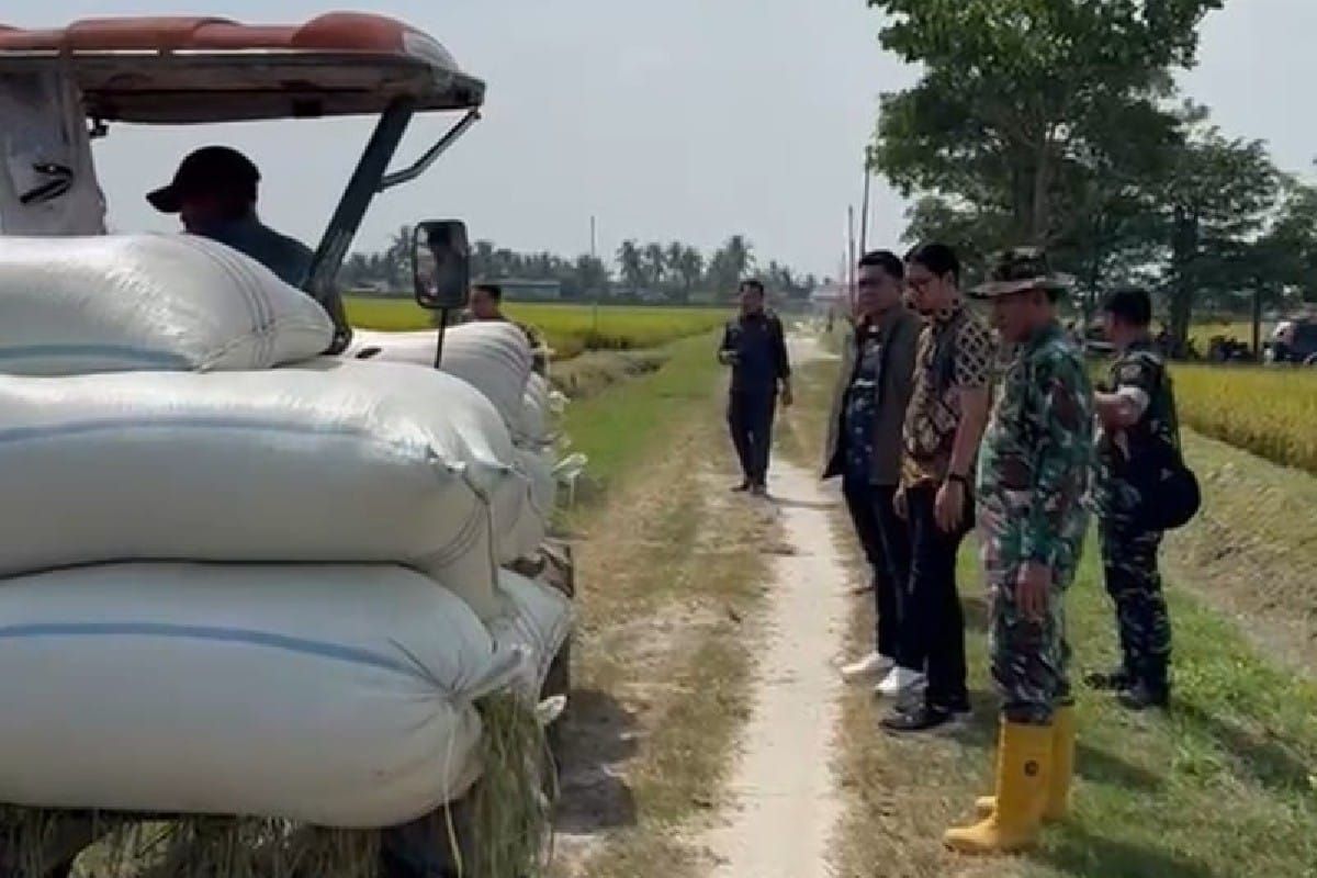 Bulog Medan Optimalkan Serapan Gabah Petani di Deli Serdang dan Langkat, Target 30.000 Ton Hingga Desember 2026