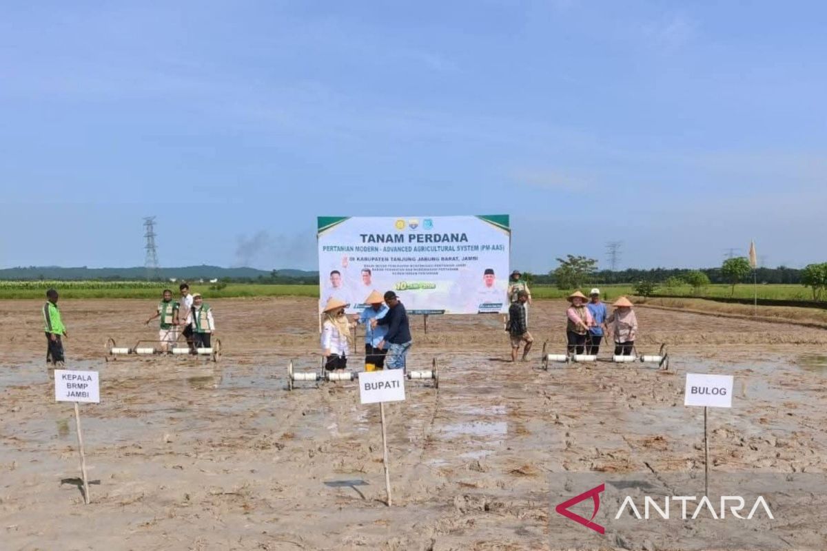 Kabupaten Tanjab Barat Mulai Tanam Padi dengan Sistem Pertanian Modern PM-AAS, Target Produksi 10 Ton per Hektare