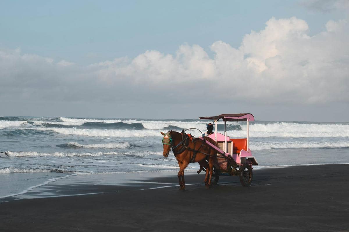 BMKG Keluarkan Peringatan Gelombang Tinggi 4 Meter di Pantai Selatan DIY, Nelayan dan Warga Pesisir Diminta Waspada