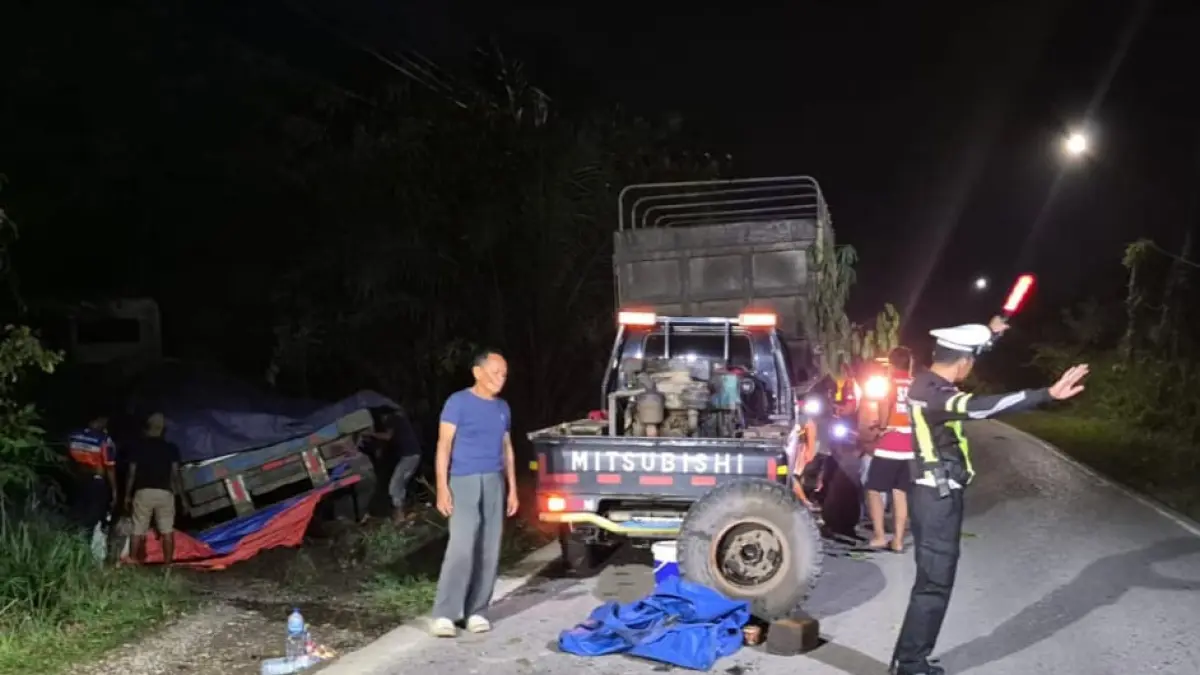 Truk Angkutan Semen Terperosok ke Kebun Karet di Tabalong, Sopir Selamat