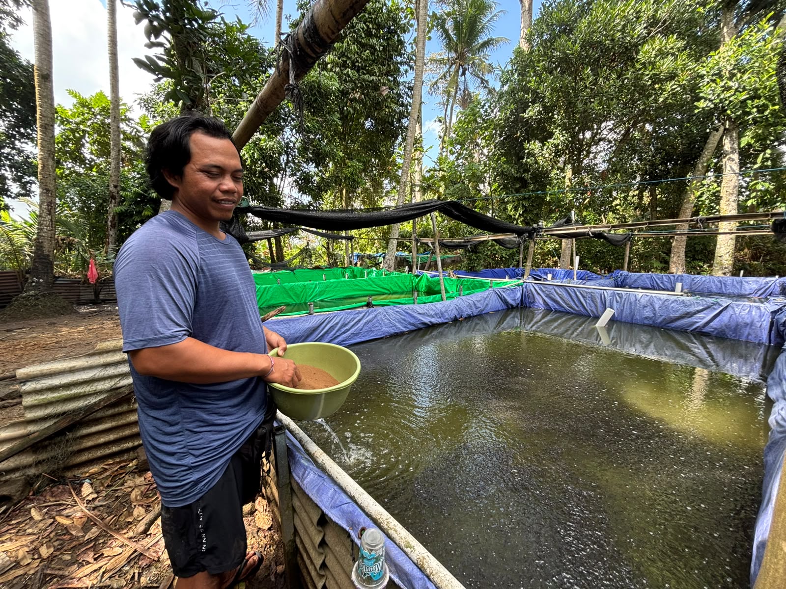KUR BRI Jadi Penopang Modal, Pembibit Lele di Badung Mampu Produksi 360 Ribu Ekor Per Siklus